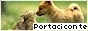 archived 88x31 button #98515