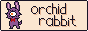 button2.png