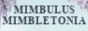 archived 88x31 button #98580