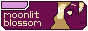 archived 88x31 button #98586