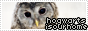 archived 88x31 button #98659