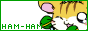 buttons16.gif