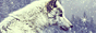archived 88x31 button #98765