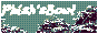 phishphin.png