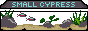 smallcypress.png