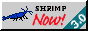 smalbluedreamm.png