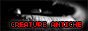 archived 88x31 button #98879