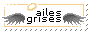 aislesgrises2.gif