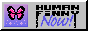 humanfinny_88x31_7.gif