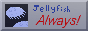 localfool.png