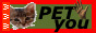 n-py.png
