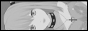 archived 88x31 button #99260