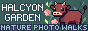 halcyongarden.png