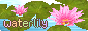 button.png