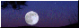 arkmsworld.neocities.org.png