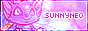 LB_Acara.gif