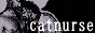 catnurselick.png