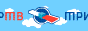 Trikolor_internet_banner_88x31_v03.gif