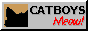 catboys-meow.gif