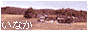 inaka_2.gif