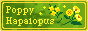 poppyhapalopus.png
