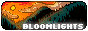 bloomlights.gif