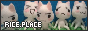 rice.png