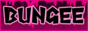 bungee.gif