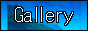 GalleryButton.png