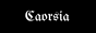 caors.png