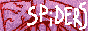 spiders.gif