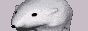 baero.gif