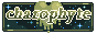 btn-charophyte.gif