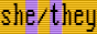pronoun-vga-she-they-inter.png
