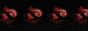 pocket-pomegranate.gif