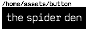 brachypelmide.gif