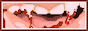 bdmasquerade.gif