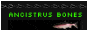 ancistrusbones_2.gif