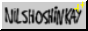 nsbutton.png