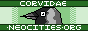 banner3bb.png