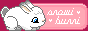 snowibunni.png