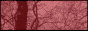 montysmortuary_2.gif