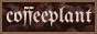 coffeeplant.png