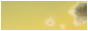 08.png
