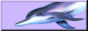 button.png