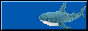love_blahaj.gif