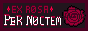 ex-rosa-per-noctem.gif