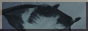 0mm2t3.png