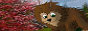 archived 88x31 button #35455