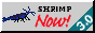 smallrustyoebtsm.png